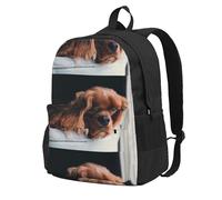 BYwenhopnbs Ruby Cavalier King Charles Spaniel Puppy DogSchool Backpack Travel Bag for Men Women College Back Pack with 15 Laptop Compartmen