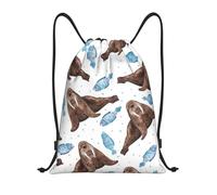 BYwenhopnbs Watercolor Brown Walrus Drawstring Bag String Bag Lightweight Gym Backpack for Men Women
