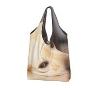 BYwenhopnbs Yellow Labrador Retriever Print Foldable Tote Bag, Waterproof Reusable Shopping Fold Up Bag for Travel