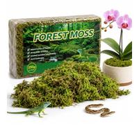 BYYDANFC 250g Sphagnum Moss, Sphagnum Moss for Plants, Suitable for Small Pets and Orchid Growing, Single Piece Moss