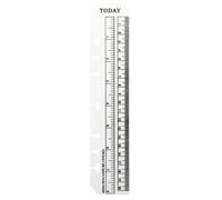 BYYLECL 6 Binder A5 or A6 Flexible Ruler,Flexible Ruler Plastic Notebook Binder Ruler for Organizing 6-Ring Binder Journals A5