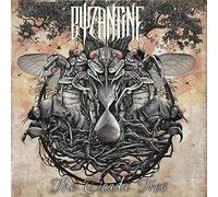 Byzantine – Cicada Tree – Sony Music