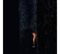 BZDB - JUMP SHIP, SIT LEAN, BE STILL, STAND TALL [VINYL]