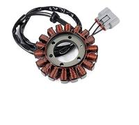 BZHYUWAOU Motorcycle Generator Stator Coil Compatible With BMW S1000RR S1000 RR K67 2018-2020 S1000XR S 1000 XR K69 2018 2019 12318396695 12318404476