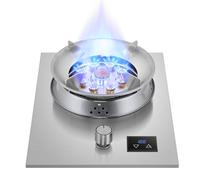 BZJPRFC Portable Gas Stove With 1 Burner, 5.2kw Nine-chamber High Flame Tempered Glass Panel, Accidental Flameout Protection Device, 180-minute Timer (Size : LPG)