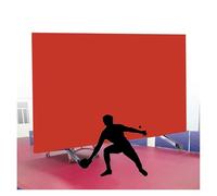 BZJPRFC Portable Table Tennis Baffle,Table Tennis Field Fence,Foldable Heavy-Duty Baffles Around Courts,70kg Load Capacity,for Indoor and Outdoor Use(Red,3 pieces)