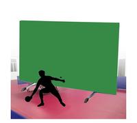 BZJPRFC Portable Table Tennis Baffle,Table Tennis Field Fence,Foldable Heavy-Duty Baffles Around Courts,70kg Load Capacity,for Indoor and Outdoor Use(Green,1 piece)