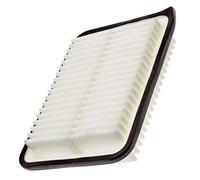 MANN-FILTER C 24 005 Air Filter - for Cars + Transporters