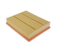 Engine Air Filter Insert MANN C25008/1