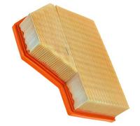 MANN-FILTER C 25 112 Air filter