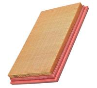Air filter Filter Insert C 2748 MANN-FILTER for FORD MAZDA
