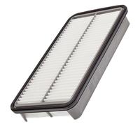 MANN-FILTER C 31 101/1 Air Filter - for Cars + Transporters