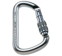 C.A.M.P. - Steel D - Steel carabiner grey
