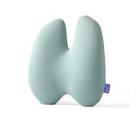 C CUSHION LAB Extra Dense Lumbar Pillow - Patented Ergonomic Multi-Region Firm Back Support for Lower Back Pain Relief - Lumbar Support Cushion with Strap for Office Chair, Car, Sofa - Wellness Green