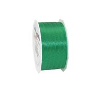 C.E. Pattberg Präsent - Europa Taffeta Ribbon Green 10 mm width, 50 m length