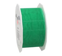 C.E. Pattberg Präsent - Sheer Organza Ribbon Green 40 mm width, 25 m length