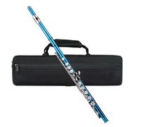C Flute 16 Keys Closed Hole Beginner Flute with Carry Case Gloves Cleaning Cloth Rod Mini for Performance Daily Practice (Blue Green)
