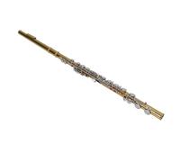 C Flute, Closed Hole 16 Keys Flute Instrument Students Flute with Flute Cleaning Kit, Gloves, Tuning Rod, Carrying Bag, Student Flute for Beginner