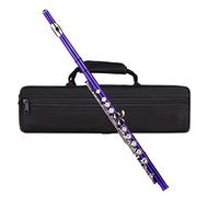 C Flute Mini Flute Closed Hole 16 Keys with Carry Case Gloves Cleaning Cloth Cleaning Rod for Performance Daily Practice (Purple)