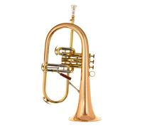 C.G.Conn Vintage One Flugelhorn