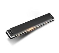 C Harmonica 24 Hole Harmonica Polyphonic Accent C Key Professional Performance(Type 4)
