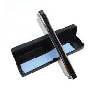 C Harmonica 24 Hole Polyphonic Harmonica C Key Various Tones Professional Tremolo For Beginners(Key of E)