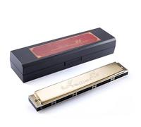 C Harmonica 24 Hole Polyphonic Harmonica Professional Performance Portable Adult Musical Instrument(Golden)