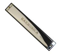 C Harmonica 24 Hole Professional Harmonica C Tune Metal Body Suitable For Beginners(Silver)