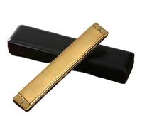 C Harmonica 28 Hole Polyphonic Accent Harmonica Adult Beginner Wind Instrument(Type 2)