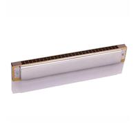 C Harmonica 28 Holes Tremolo Harmonica Musical Instrument With Case For Adults Beginner(Type1)