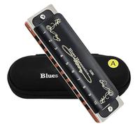 C Harmonica Diatonic Harmonica 10 Holes 20 Tone Blues With Black Cover And Canvas Bag(Key of A)