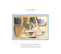 C Joynes - Revenants Prodigies And The Restless Dead [VINYL]