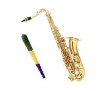 C key alto saxophone carved brass body with standard case with cleaning kit Beginner Saxophone