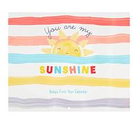 C.R. Gibson BA3-24545 You are My Sunshine Gender Neutral Baby's First Year Keepsake Calendar, 11" W x 18" H Open, Multicolor