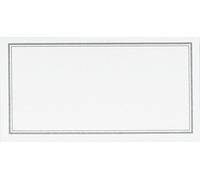 C.R. Gibson White and Silver Table Place Cards for All Occasions, 20 pc, 3'' W x 1.75'' H