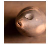 C-tuned Pottery Xun Beginners Self Study Entry 10 Hole Professional Playing Ten-hole Ancient Xun Ethnic Musical Instrument (Color : Purple sand)