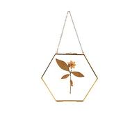 C&Z Hanging Wall Glass Frame for Pressed Flowers Dried Leaf Plants Gold Hexagon Shaped Double Side Glass Floating Frame for Artwork Specimen Clip Wall Decor Large