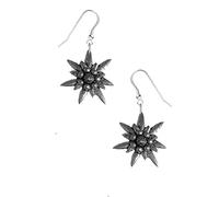 c1 Large Edelweiss Made from fine English pewter with Sterling Silver 925 Stamped Hook Earrings