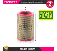 C17192 Air Filter (Brand Mann Filter)