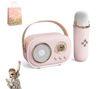 C20 Mini Karaoke Machine With 2 Wireless Mics, Retro Speaker Set Stereo Sound for Party (1 Mic, Pink)