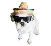 C21 Dog Pet Cat Costume Set Retro Sunglasses Glasses + Sombrero Mexican Straw Hat Small-Medium Breeds 12-30 lbs Party Cosplay Photoshoot Prop Halloween (80s Black + Straw Hat)