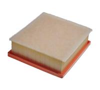 MANN-FILTER C 21 002 Air Filter - CARS + TRANSPORTERS