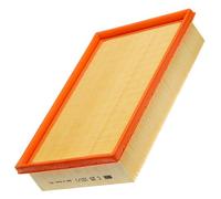 MANN-FILTER C 25 101/1 Air Filter - for Cars + Transporters