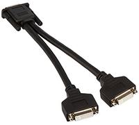 C2G/Cables to Go 38064 9in One LFH-59 (DMS-59) Male to Two DVI-I Female Cable