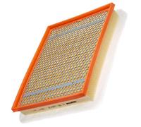 MANN-FILTER C 30 130/2 Air Filter - for Cars + Transporters