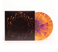 C418 - Minecraft Volume Beta [Warp Speed 2LP]