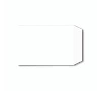 C5 Pkt Env Plsl 229X162MM WHT PK500