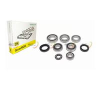 C514.5 Manual 5 Speed Gearbox Bearing & Seal Kit Fiat +More