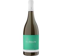 Ca' Bolani Sauvignon Blanc DOC - Italian Still Dry White Wine - Friuli DOC Aquileia, Italy - 75cl / 750ml, 13% ABV