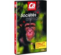 Ca m'intéresse, vol 9 : société animales